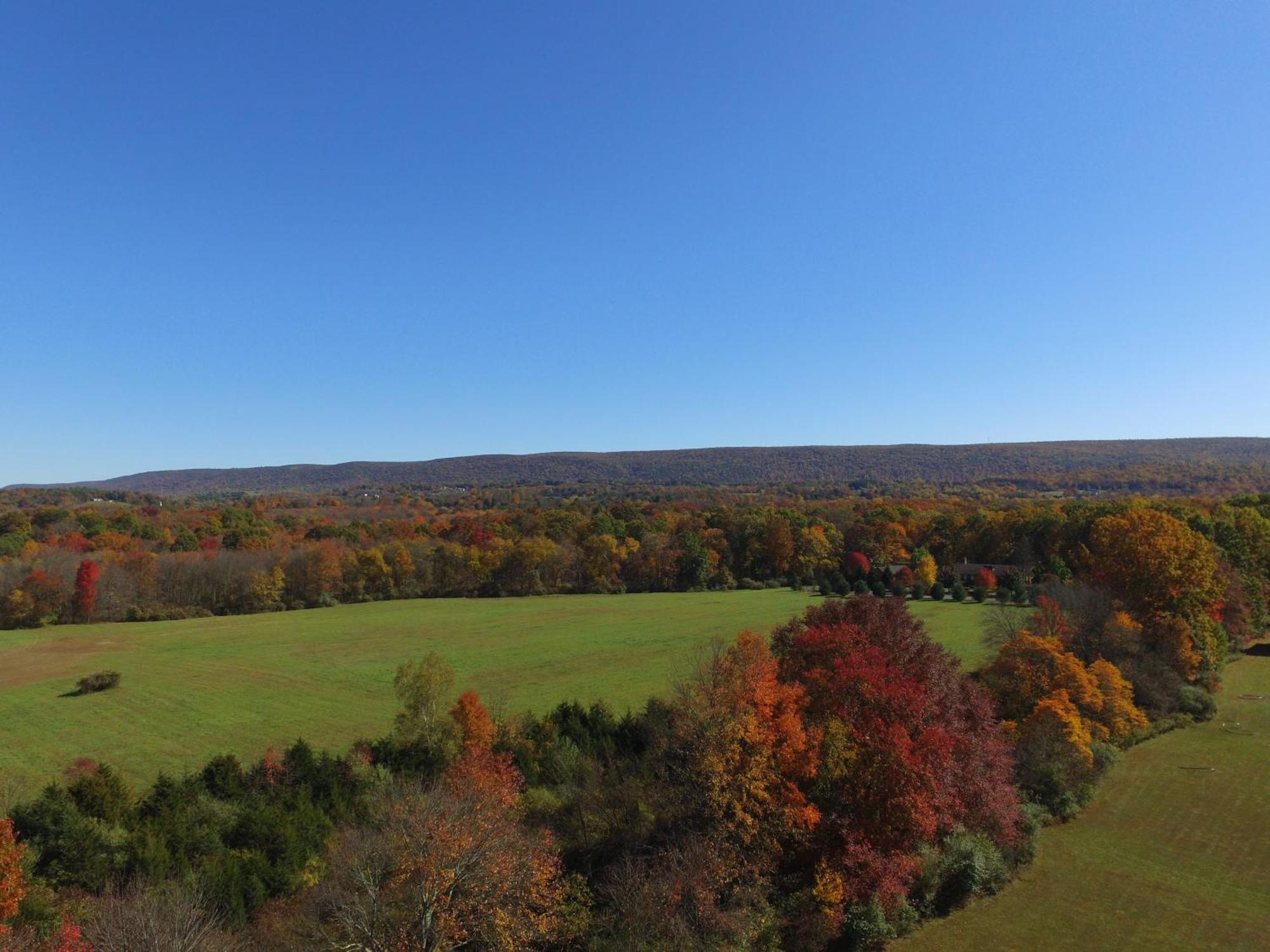 Fenced Yard Chalets From Good Dog Vacations At Big Valley Resort Sciota Exterior foto